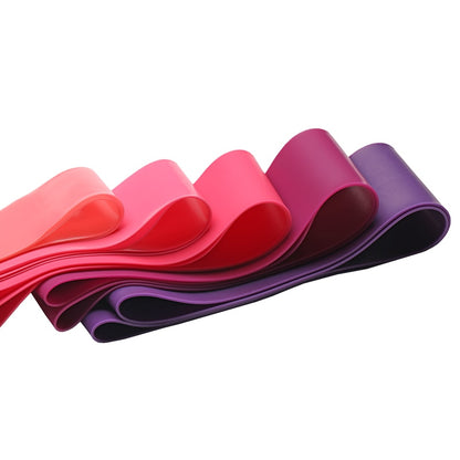 Bandes de résistance en boucle 5 niveaux (yoga/CrossFit)