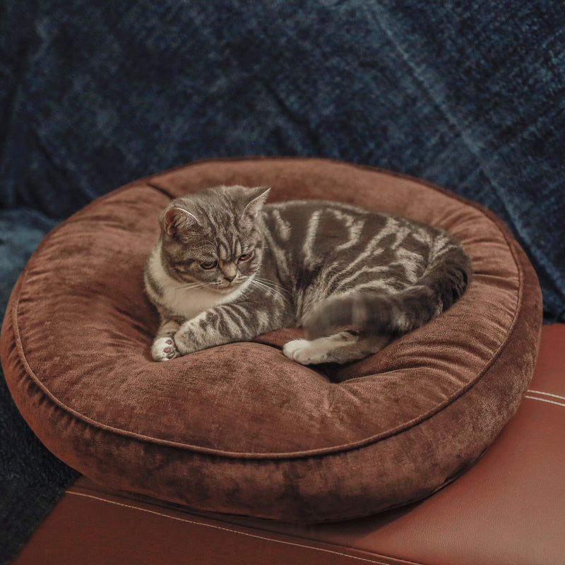 Thick futon cushion for pets, ideal for meditation